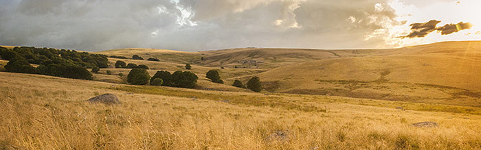 paysage de l'Aubrac avec collines